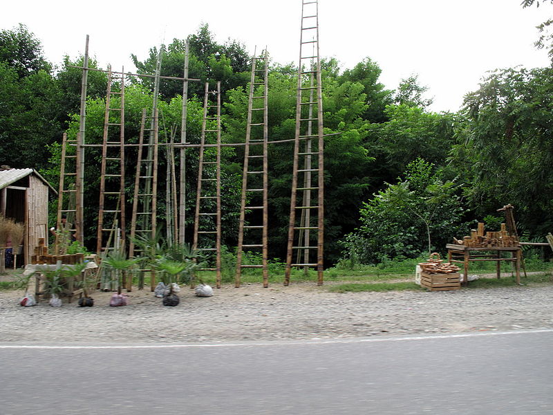 File:Batumi. Non Collapsing Ladders (Photo by Peretz Partensky, 2009).jpg