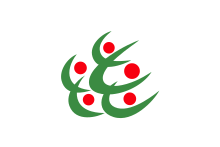 Flag of Kitakata, Fukushima.svg