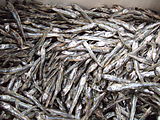 Dried Japanese anchovy (Engraulis japonica) at the market