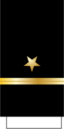 File:US-Navy-Sleeve-O1-ENS.svg