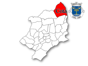 Localização no município de Viseu