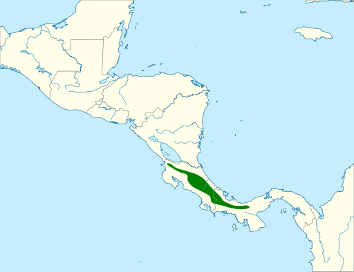 File:Zentrygon costaricensis map.svg