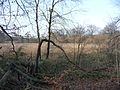 Naturschutzgebiet Oelbachtal