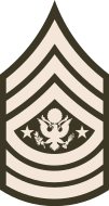 E-9 Sergeant Major of the Army (SMA)