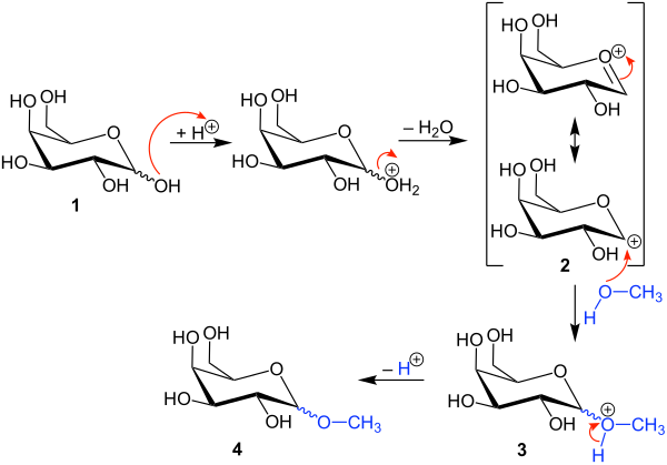 Reaktionsmechanismus der Fischer-Helferich-Glykosylierung