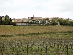 Skyline of Pauligne