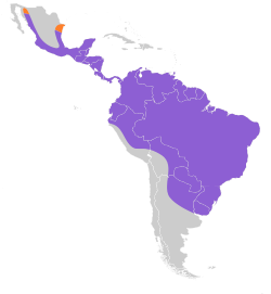 Distribución geográfica de los titíridos.