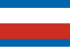 Flag of Trenčín Region