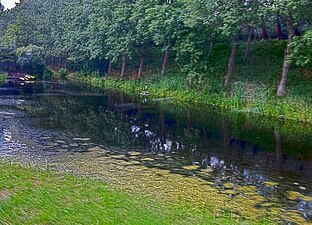 Begroeiing tegen de ringweg (grijze platen zichtbaar rechtsboven) zorgt voor minder geluidsoverlast aan de Johannes J. Glasweg.