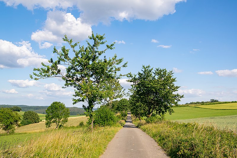 File:Bad Driburg - 2018-06-27 - bei Reelsen (22).jpg