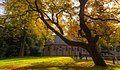 Kootwijk in autumn