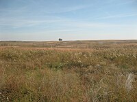 Mesic prairie remnant in the Pennyroyal Plain, Tennessee