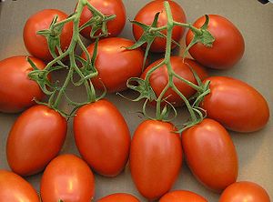 Roma tomatoes