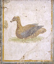 Duck, Roman fresco from Villa Arianna, Naples Museum