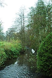 La Béthune à Mesnières-en-Bray.