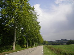 L'ex RN 656 près de Moncaut.