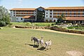 Safari Hotel, with the ZUFARI reserve in the foreground