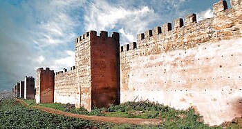 5. City walls of Mansoura, Tlemcen Province, Algeria Photograph: Sambott27 Licensing: CC-BY-SA-3.0