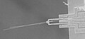 Microgripper holding silicon nanowires