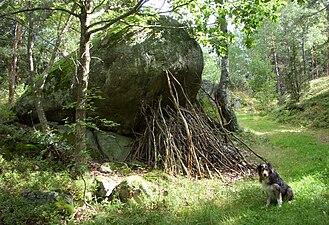 Stöttestenen "Grodan"