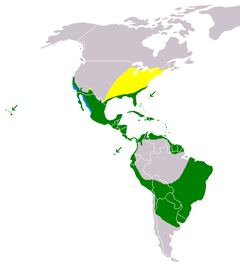 Amarelo: temporário; Verde: residente