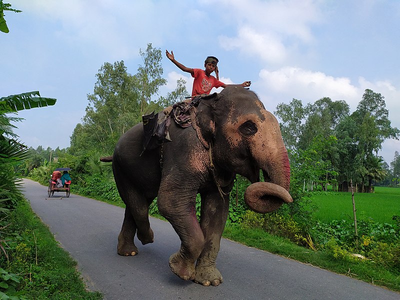 File:Teenage Mahout.jpg