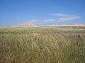 Oglala National Grassland, Nebraska, USA