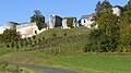 Vignoble de Picardie au pied du château de Coucy.