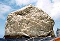 Colony on Stac Lee Island, Scotland