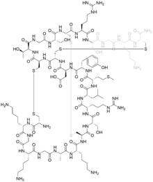 Structural formula of ziconotide.png