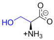 Serine at physiological pH