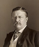 Black-and-white photographic portrait of Theodore Roosevelt