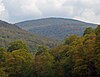 A forested mountain landscape