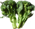 Brokoli genel görünüm