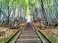 吉沢城跡（松田遠江守）早尾神社