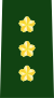 Lieutenant General