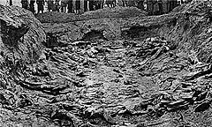 A mass grave, with multiple corpses visible