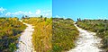 Dune walking path near tip of South Pointe Park, March and September 2017