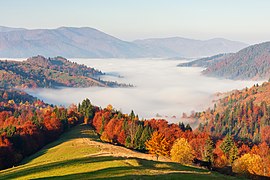 Le parc national du Synevyr, dans l'oblast en octobre 2017.