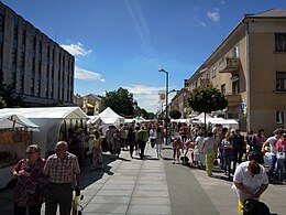 City days 2013