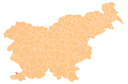 Location of the Municipality of Ankaran in Slovenia