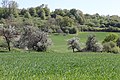 Streuobstwiesen am Erbig, Aschaffenburg