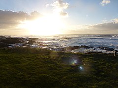 Coast near Yachats