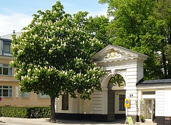 Portalen till Serafimerlasarettet med Retzius kastanj på 1930-talet och utseendet med "Nya Retzius kastanj" i maj 2012.