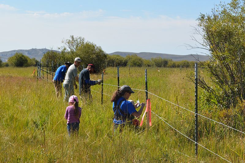 File:BLM Pinedale Field Office in Wyoming Celebrates National Public Lands Day (15291058617).jpg