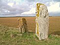 Menhirs des Longrais