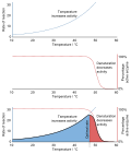 Thumbnail for Denaturation (biochemistry)