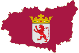 Silueta de León con bandera y colores.png