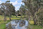 Thumbnail for Wannon River