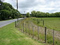 Mangaroa railway station 03.JPG